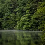 Waldsee Am Wirchensee 3*