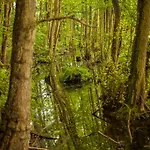 Waldsee Am Wirchensee 3* Treppeln
