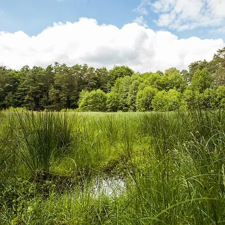 Hotel Waldsee Am Wirchensee