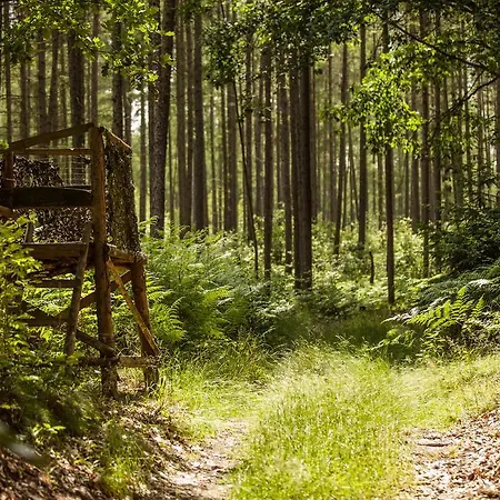 Waldsee Am Wirchensee Treppeln