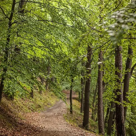 Waldsee Am Wirchensee 3* Treppeln