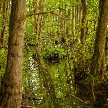 Waldsee Am Wirchensee 3* Treppeln