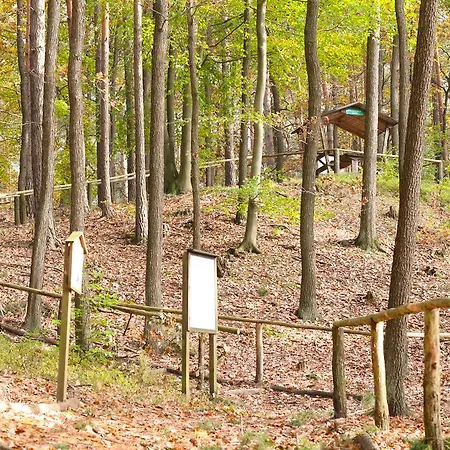 Waldsee Am Wirchensee Hotel 3*