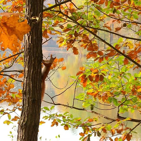 Waldsee Am Wirchensee Hotel Treppeln