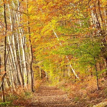 Hotel Waldsee Am Wirchensee