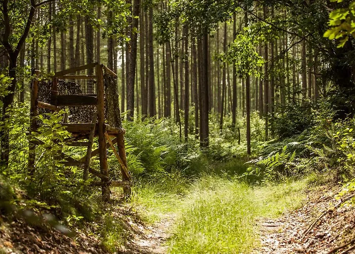 Waldsee Am Wirchensee Treppeln