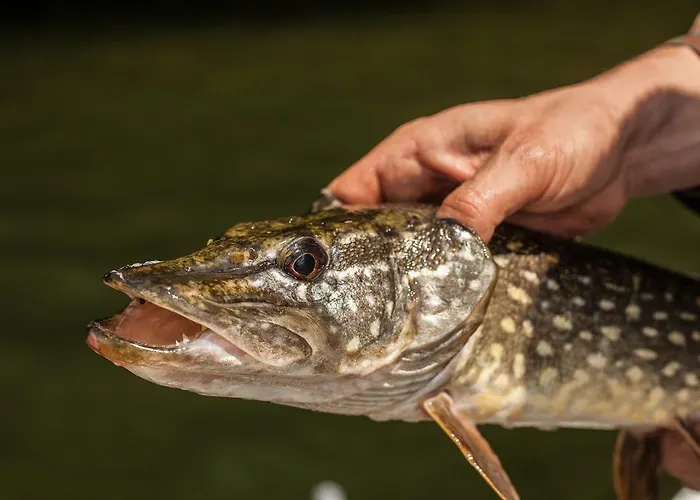 Hotel Waldsee Am Wirchensee 3*