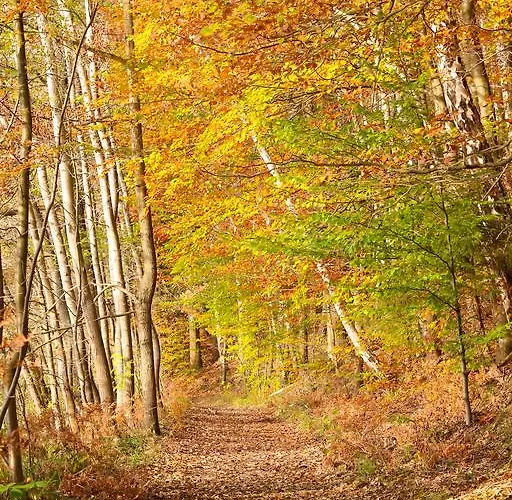 Hotel Waldsee Am Wirchensee